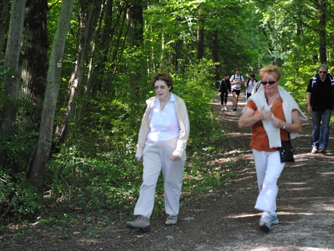 DSC_0064